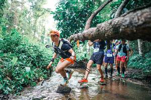 BIB: 
                            <button type="button" onclick="openModal(25371956)" class="btn btn-primary btn-sm float-right btn-popup" data-toggle="modal" data-target=".modal-high-quality">
                        <i class="fas fa-shopping-cart"></i> Add to Cart
                    </button>
                                            <button type="button" onclick="isThisMe(25371956, true)" class="btn btn-success btn-sm float-right btn-popup btn-isme hidden" data-toggle="tooltip" data-placement="bottom" title="นี่คือรูปของคุณใช่ไหม คลิกที่นี่เพื่อเอาเข้าอัลบั้ม">
                        <i class="fas fa-plus"></i> Add to album
                    </button>
                    <button type="button" onclick="isThisMe(25371956, false)" class="btn btn-warning btn-sm float-right btn-popup btn-isnotme hidden">
                        <i class="fas fa-ban"></i> Remove from album
                    </button>